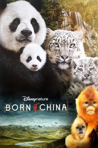 Poster of Born in China