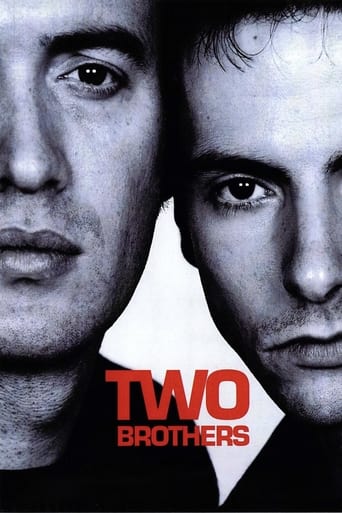 Poster of Two Brothers