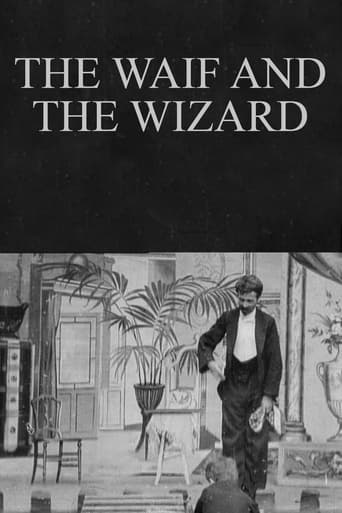 Poster of The Waif and the Wizard