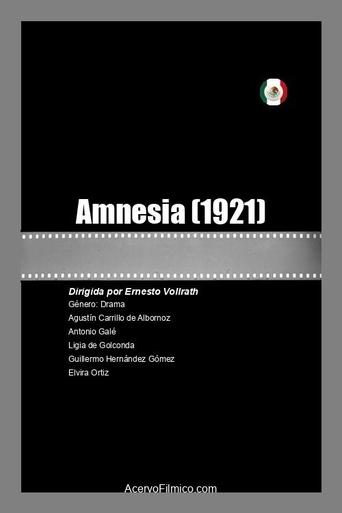 Poster of Amnesia