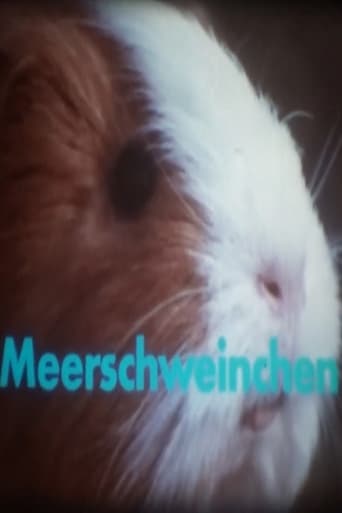 Poster of Meerschweinchen