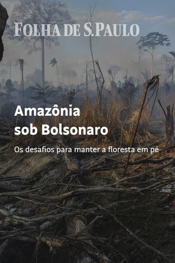 Poster of Amazon Under Bolsonaro