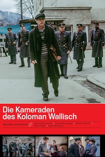 Poster of Die Kameraden des Koloman Wallisch