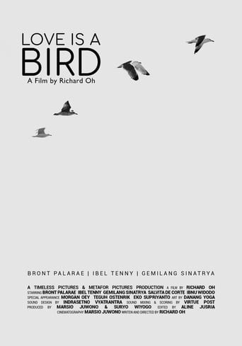 Poster of Love is A Bird