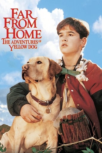 Poster of Far from Home: The Adventures of Yellow Dog