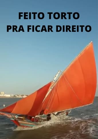 Poster of Feito Torto pra Ficar Direito