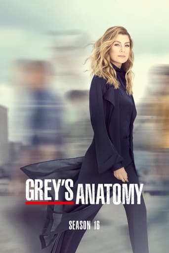 Portrait for Grey's Anatomy - Season 16