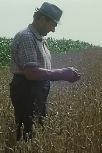 Poster of Mikolaš Farmer Worker's First Holidays