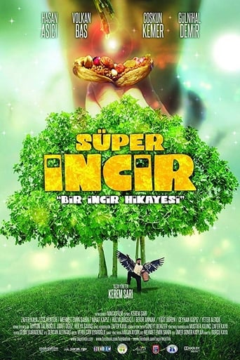 Poster of Super Fig