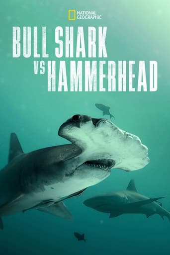 Poster of Bull Shark vs. Hammerhead