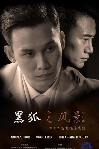 Poster of 黑狐之风影