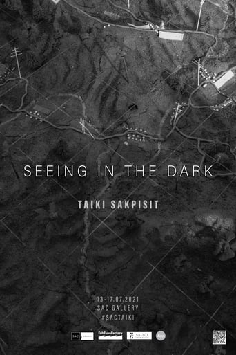 Poster of Seeing in the Dark