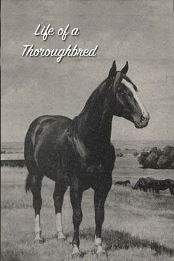 Poster of Life of a Thoroughbred