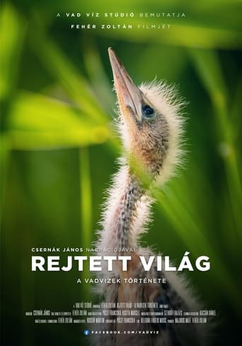 Poster of Hidden World: The Story of Hungary's Wild Waters