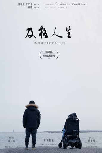 Poster of Imperfect Perfect Life