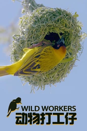 Portrait for Wild Workers - Season 1