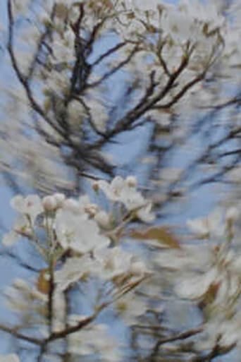 Poster of Four seasons bouquet