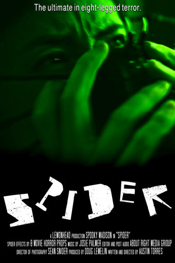 Poster of Spider