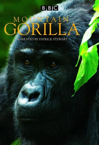 Portrait for Mountain Gorilla - Miniseries