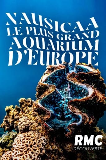 Poster of Nausicaa: The Largest Aquarium in Europe