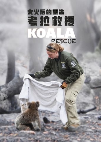 Poster of Koala Rescue