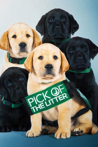 Poster of Pick of the Litter