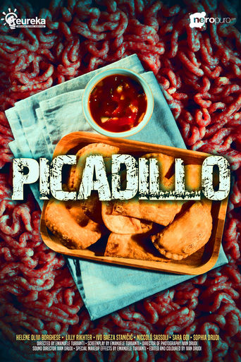 Poster of Picadillo