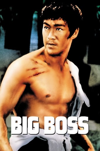 Poster of The Big Boss