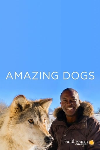 Poster of Amazing Dogs