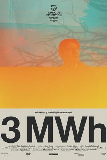 Poster of 3 MWh