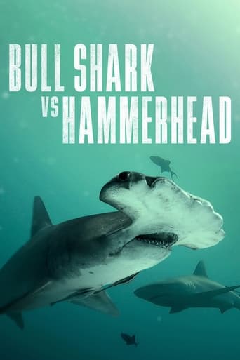 Poster of Bull Shark vs. Hammerhead