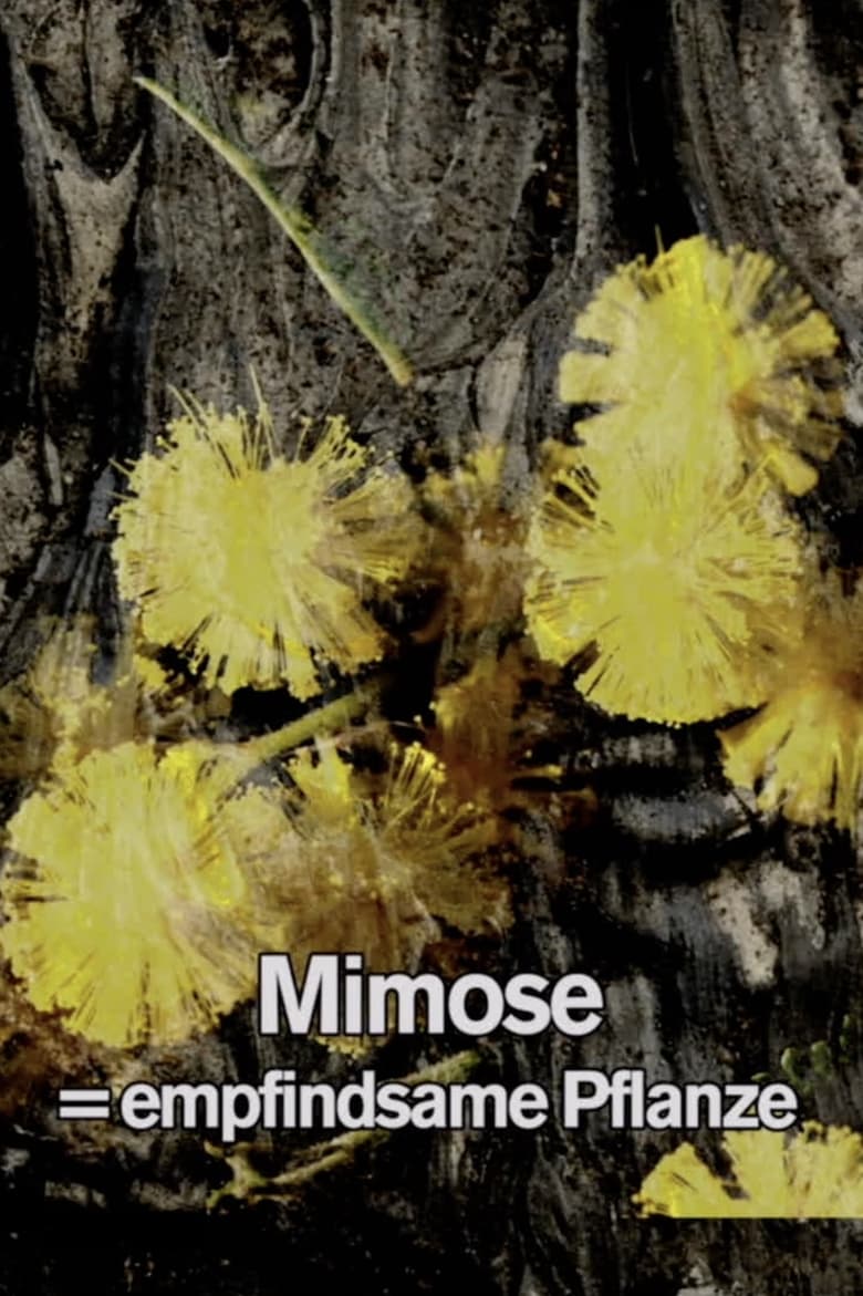 Poster of Mimosa Tank: A Prologue for a Film