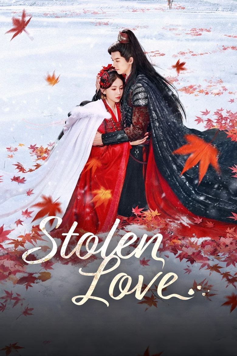 Poster of Stolen Love