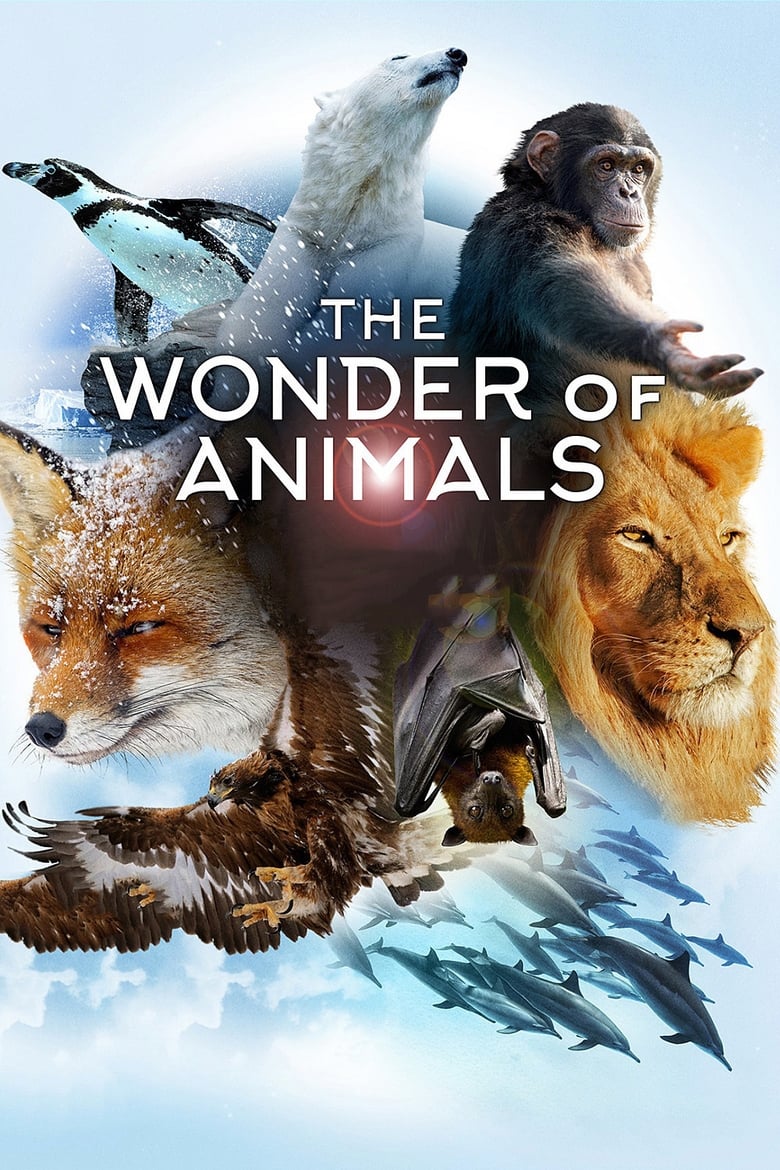 Poster of The Wonder of Animals