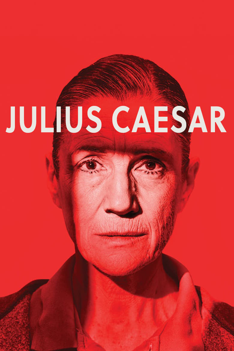 Poster of Julius Caesar