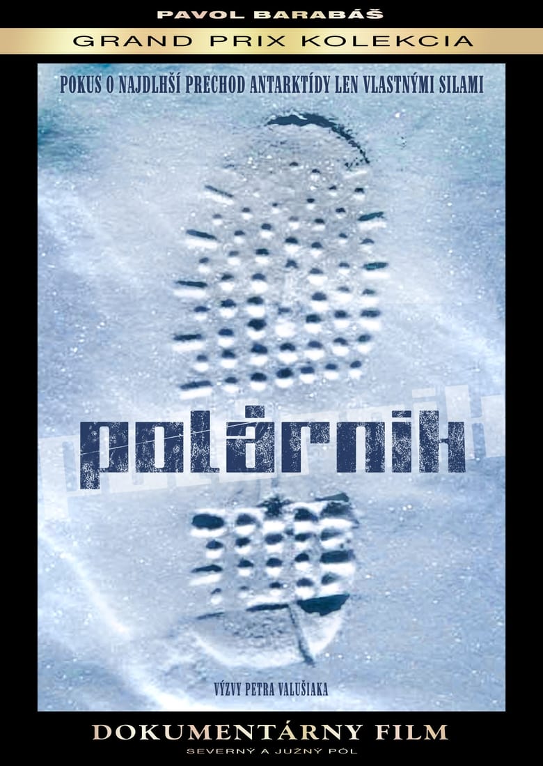 Poster of Polárnik