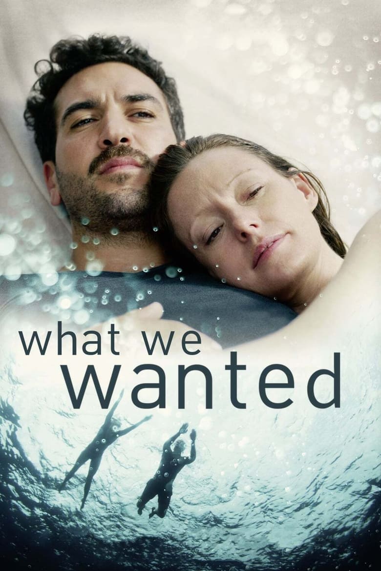 Poster of What We Wanted