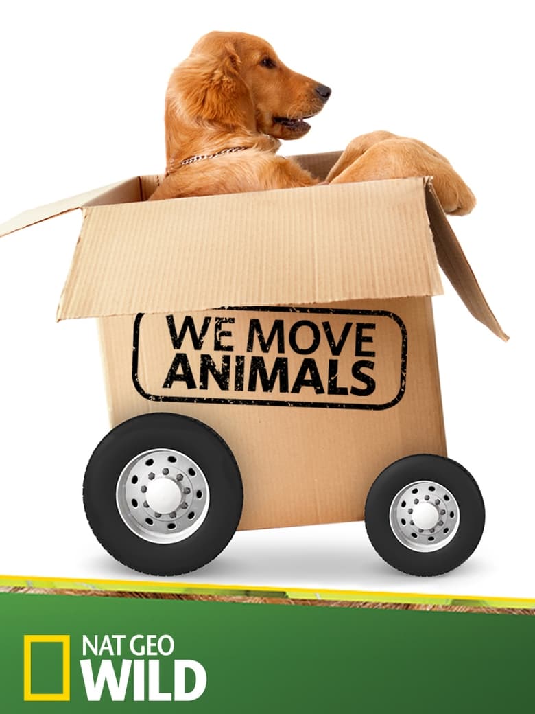 Poster of We Move Animals