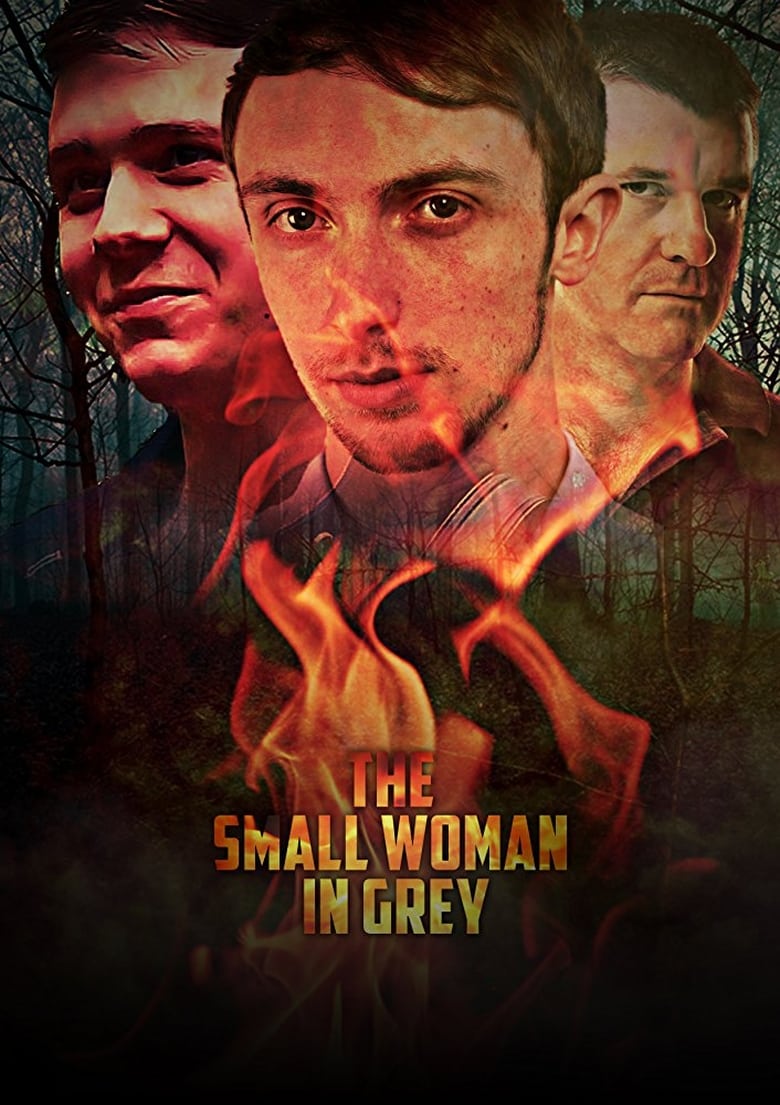 Poster of The Small Woman in Grey