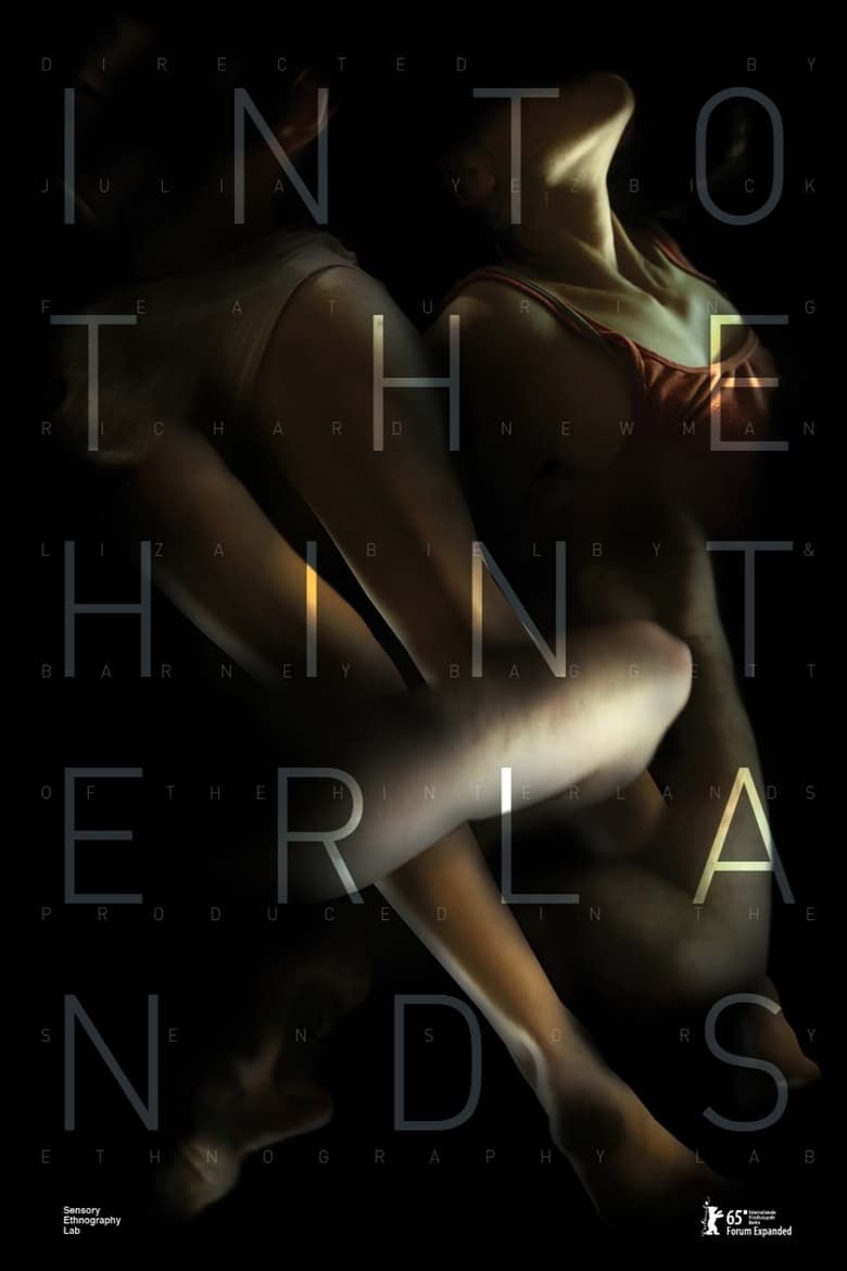 Poster of Into the Hinterlands