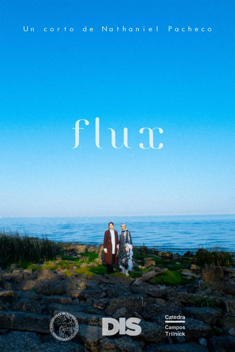 Poster of Flux