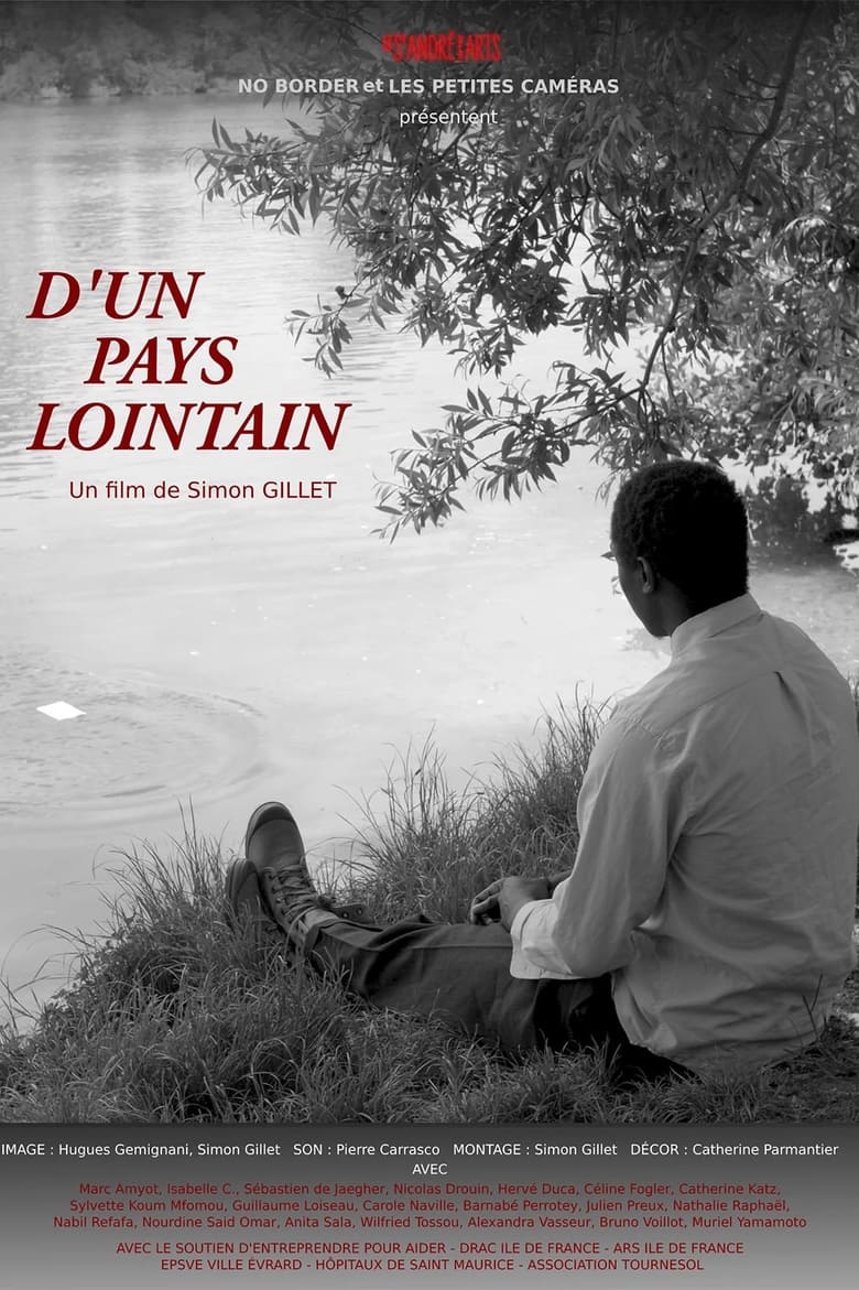 Poster of D'un pays lointain