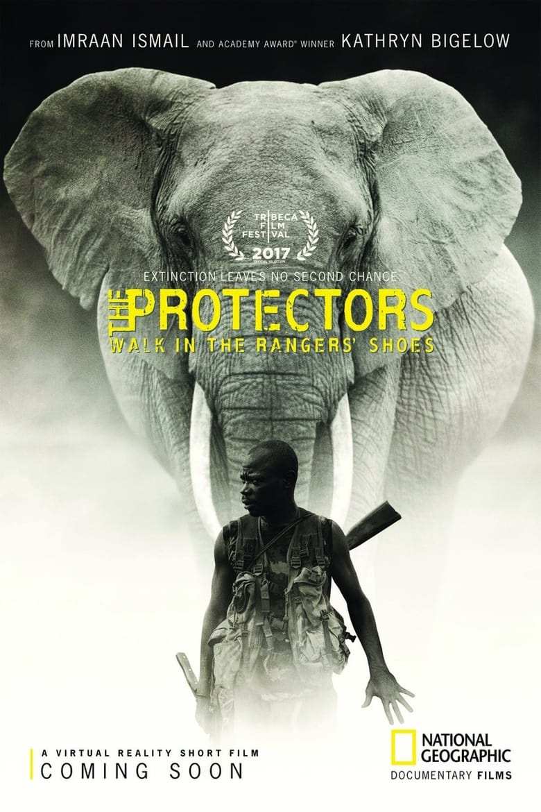 Poster of The Protectors