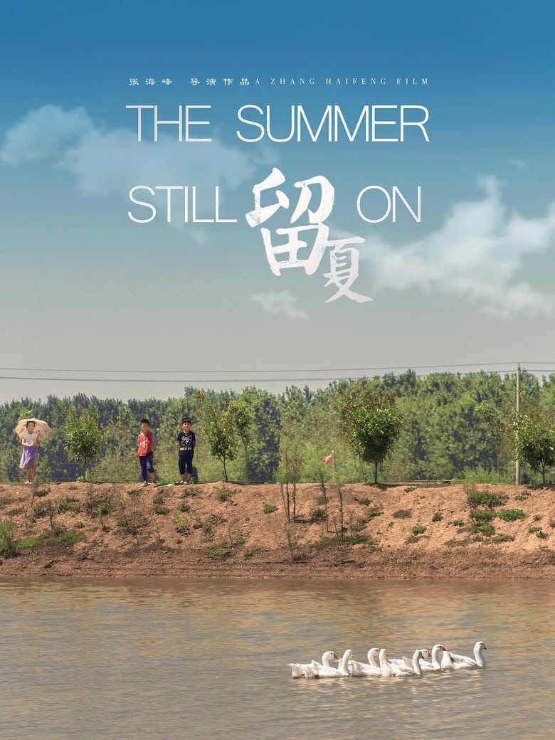 Poster of 留夏