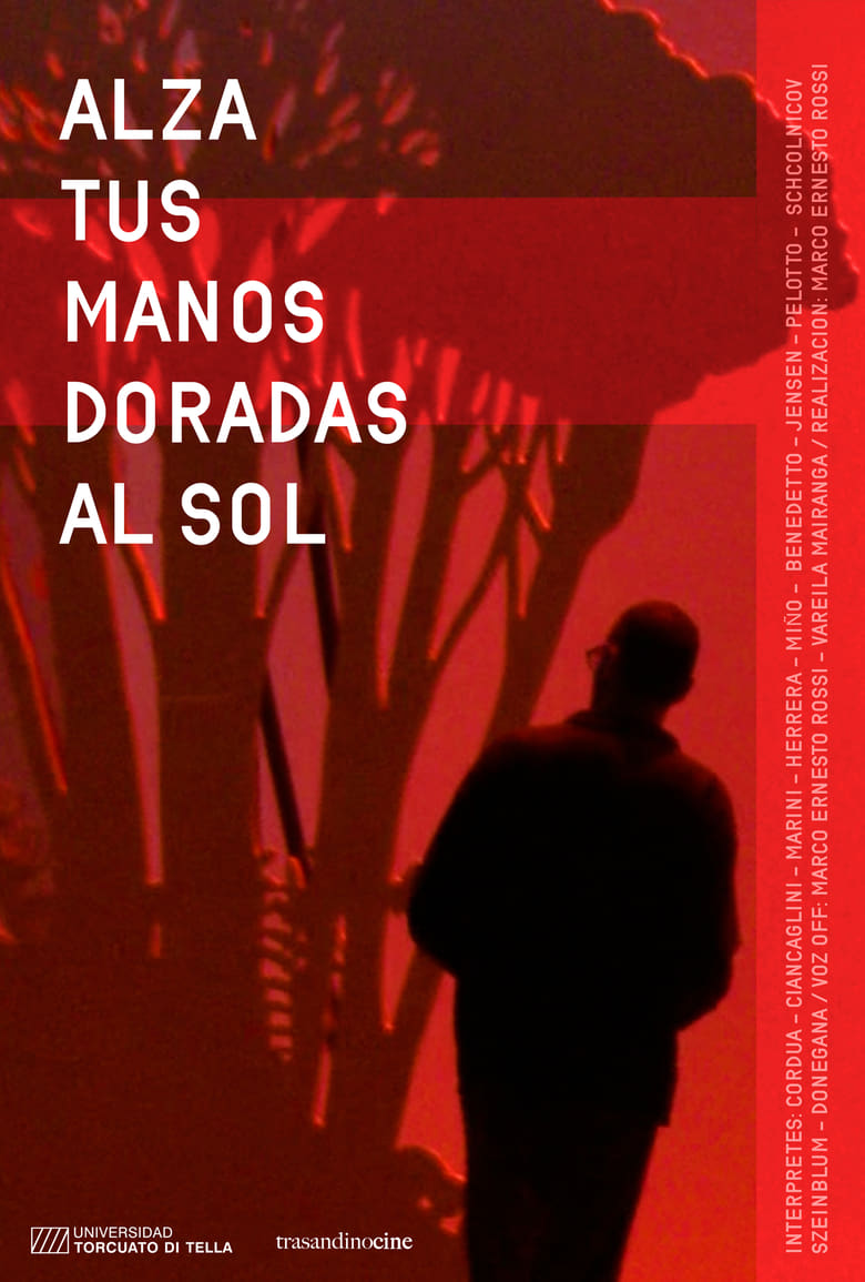 Poster of Alza tus manos doradas al sol