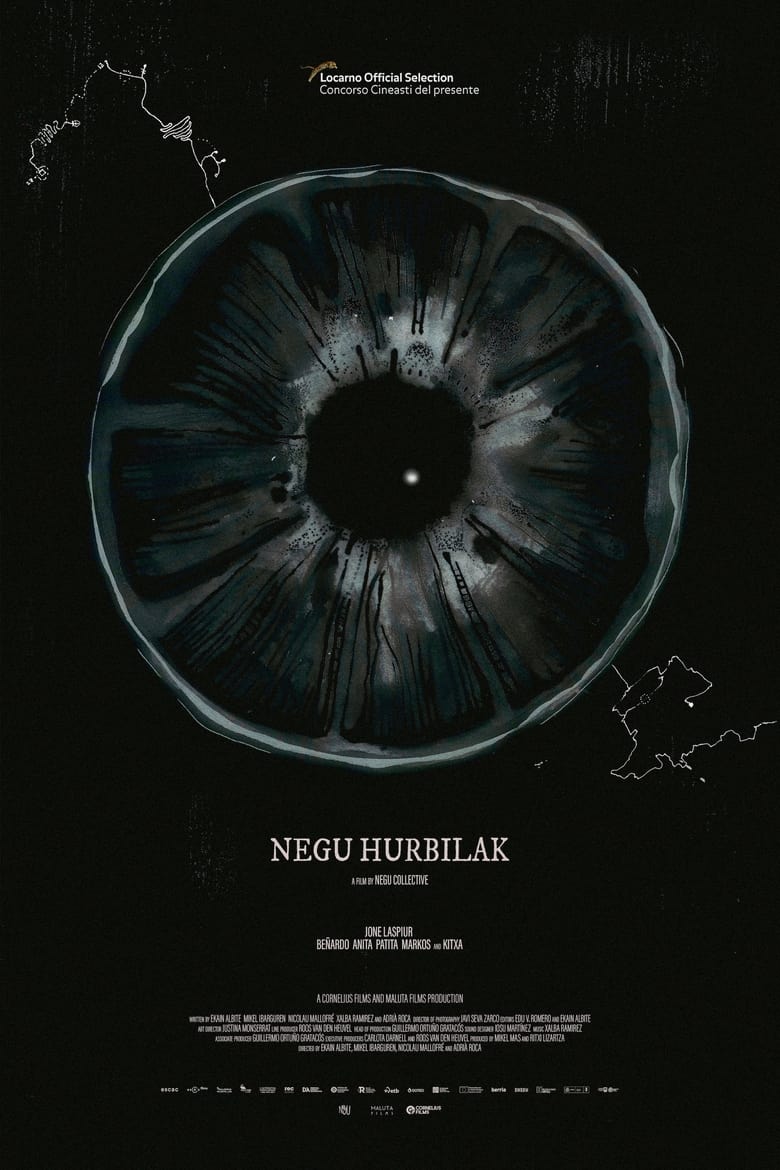 Poster of Negu hurbilak