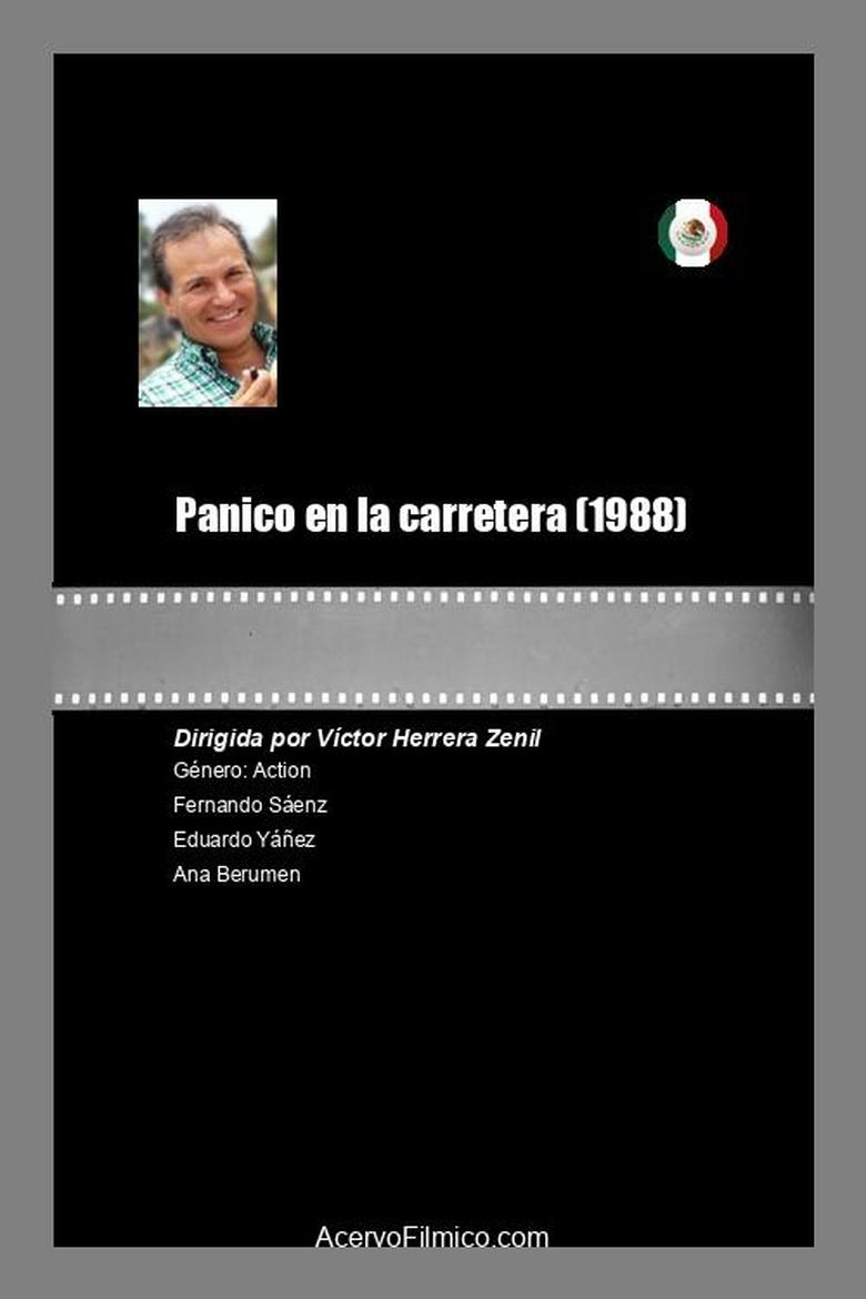 Poster of Panico en la carretera