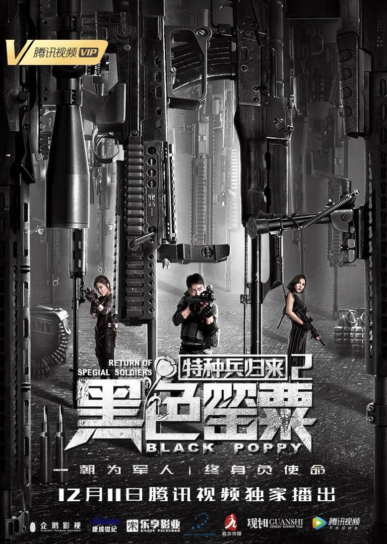 Poster of Special Forces Return 2