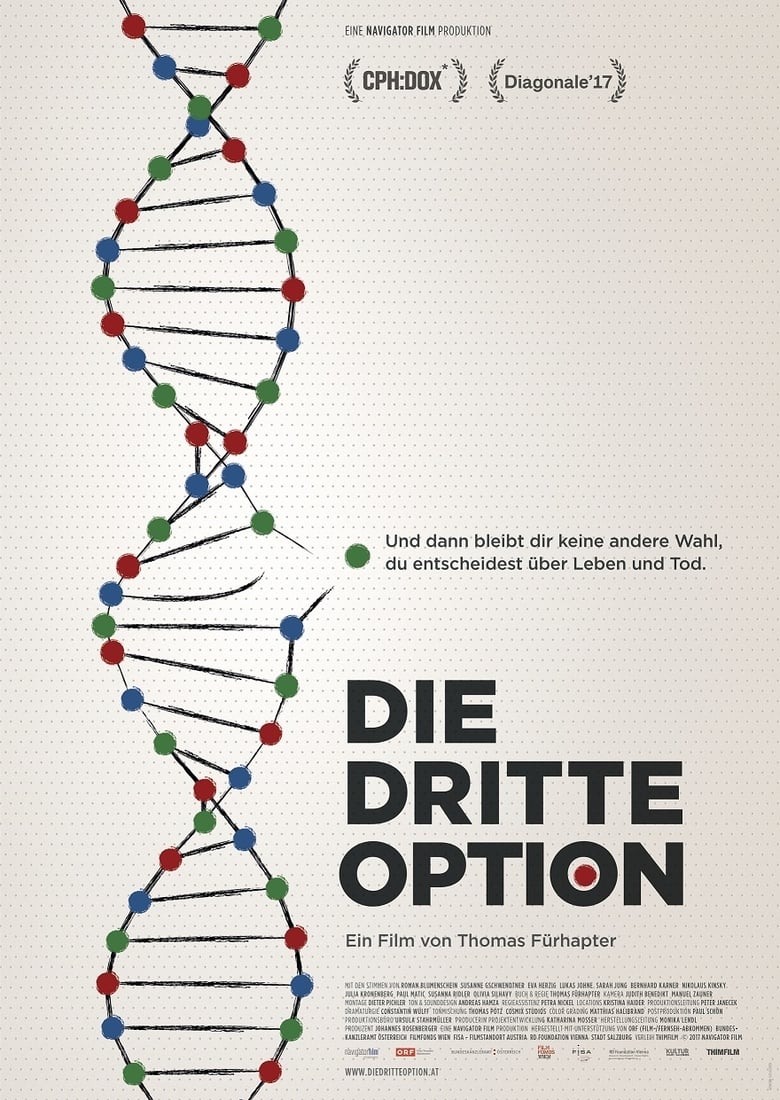 Poster of The Third Option