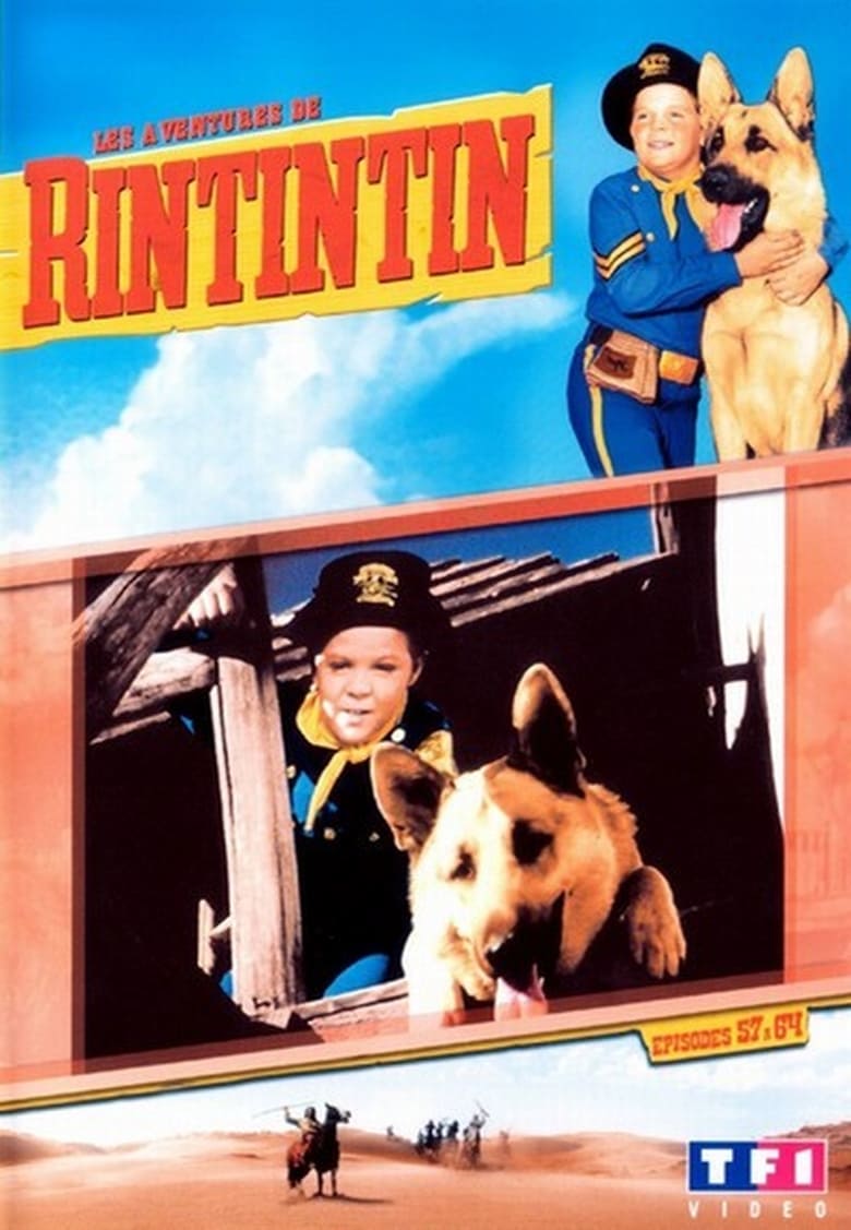 Poster of Episodes in The Adventures Of Rin Tin Tin - Season 2 - Season 2